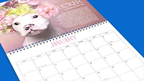 Calendrier